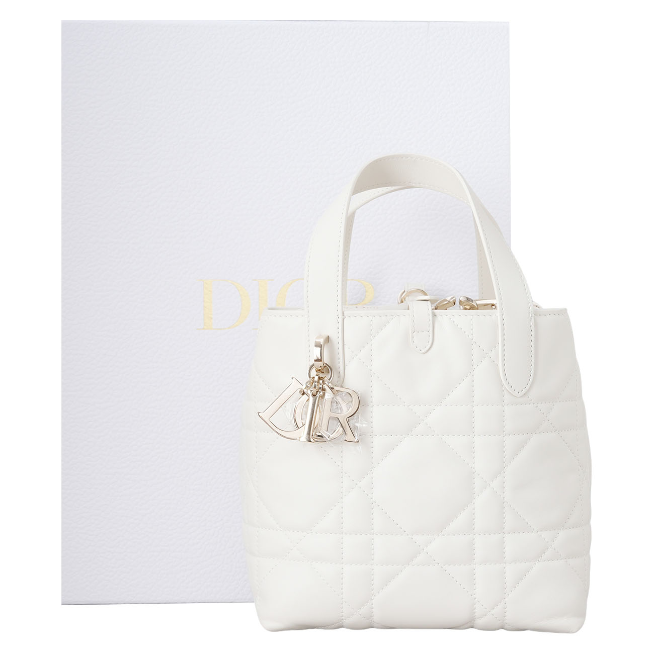 CHRISTIAN DIOR(USED)디올 뚜주흐 버티컬 토트백 스몰